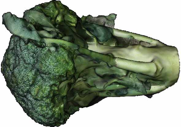 Broccolli Textured